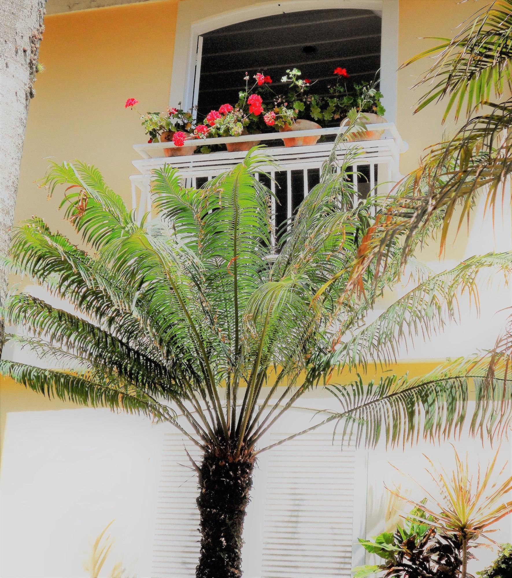 Auberge de la Langouste Búzios Exterior foto